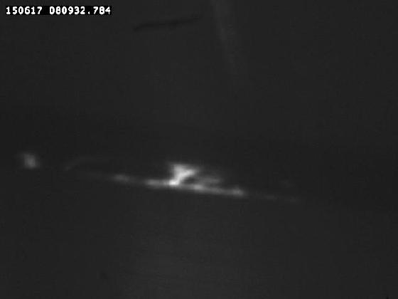 protu du 15 juin 2017 avec barlow