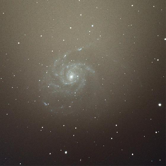 M101