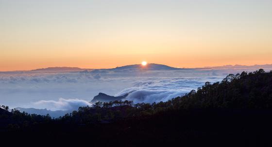 Coté Ouest La Palma Rayon vert garanti !