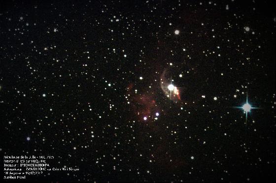 Dobson Bresser 200/1200 (sous garantie)