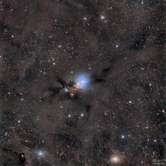 NGC1333