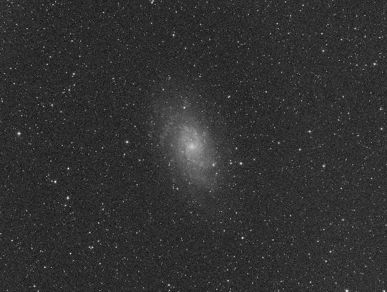 Brute M33 5 minutes