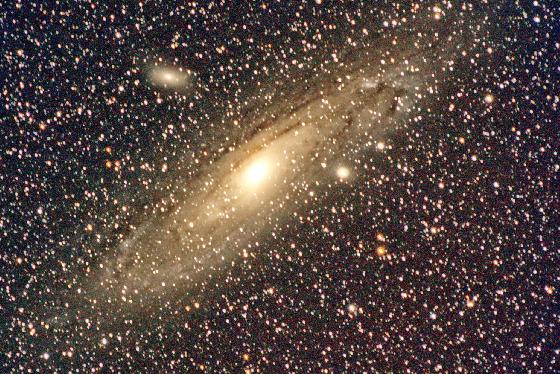 M31