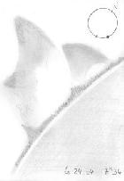 le 24 avril à 7H34 TU