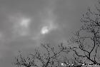 Eclipse du 20 mars 2015 à 9h44 de Florian Bauer - Genève