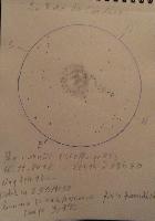 La Rose de Caroline...