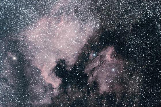 Amérique du Nord avé le Pélican