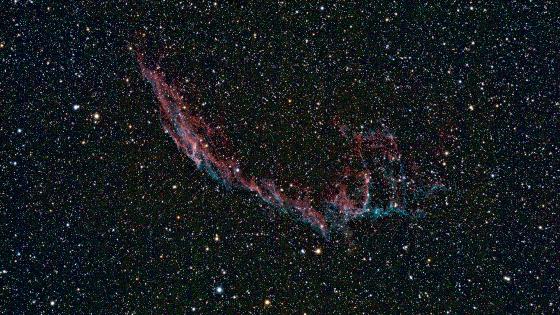 NGC6995
