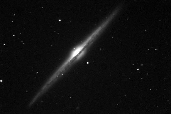 NGC4565