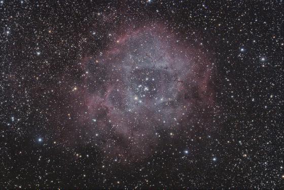 Rosette 05.12.2016 PS