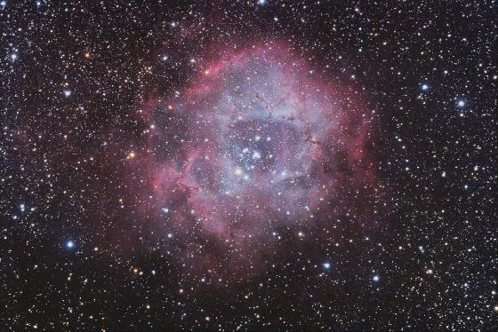 Rosette 05.12.2016 PS v2