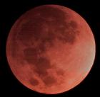 Eclipse de Lune - ETX70 - 21 Février 2008
