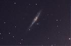 NGC4631