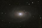 M81