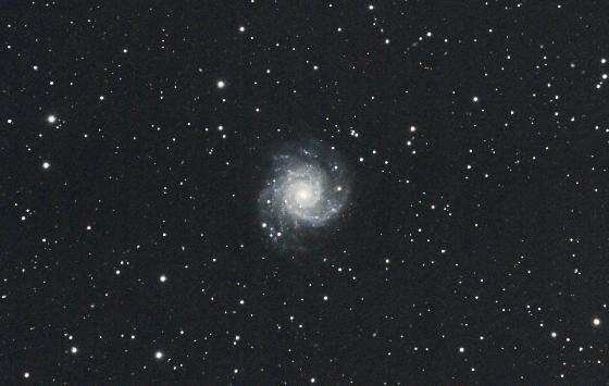 M74