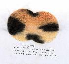 Panstarrs 10 mars 2013