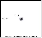 Taches solaires 14 avril 2013 gros plans