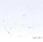 Soleil H alpha 16 mars 1er