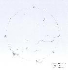 Soleil H alpha 16 mars 2e