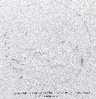 Soleil H alpha 23 mars 2014 - essai