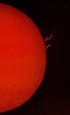 Protus volées du 7 avril 2014 - 18h55 HL