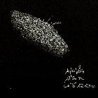 Protu. 10 avril 2014 - 19h30 HL