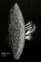 12 avril 14 - 15h45 HL