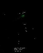 Comète Jacques 20 aout 2014