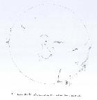 Soleil 23 aout H alpha