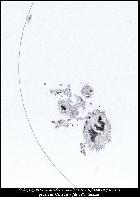 AR2192 - 26 oct. 2014