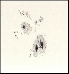 AR 2192 - 27 octobre 2014