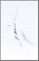 Protubérances au dessus de AR2192 - 30 oct. 2014