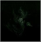 M42 Enfer - 1er Nov. 2014