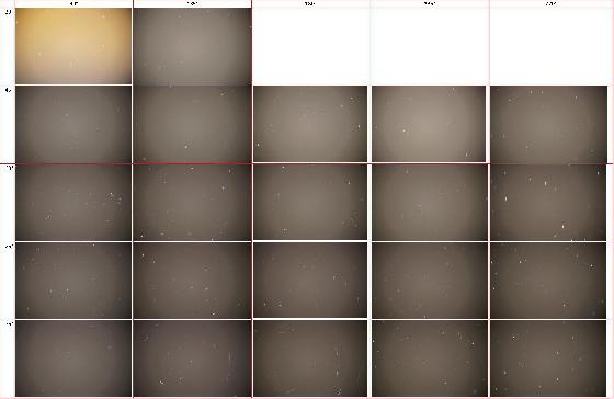 Rotation champ d'étoiiles en AltAz sur C6