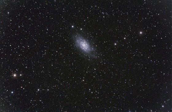 NGC2403