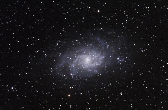 M33