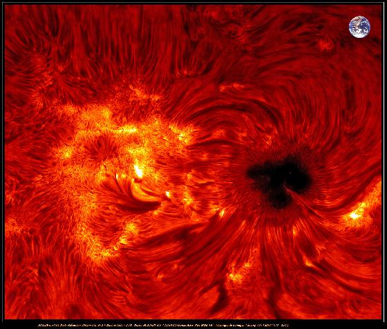 AR2529 ( 14.04.2016 )