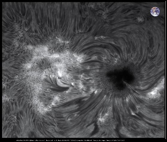 AR2529 ( 14.04.2016 )FULL