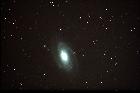 M81