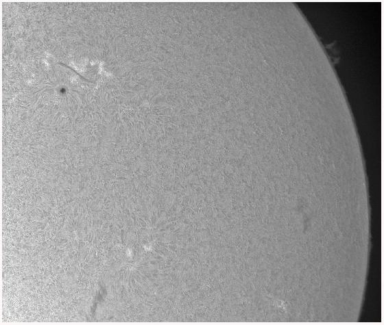 Soleil H-Alpha noir et blanc