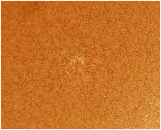 Soleil H-Alpha du 08.04.2017