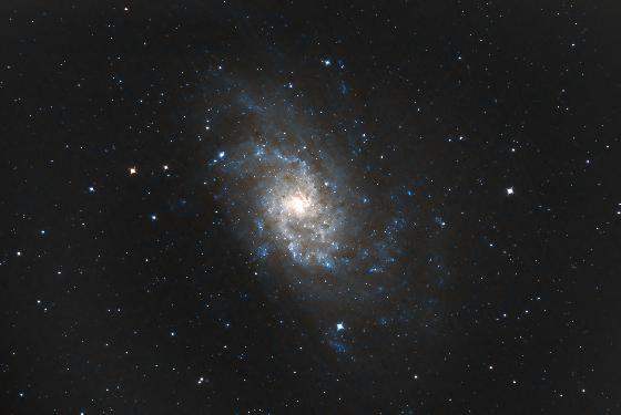 M33