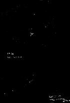 quelques objets de pegase