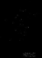 collinder 69  et ced 54