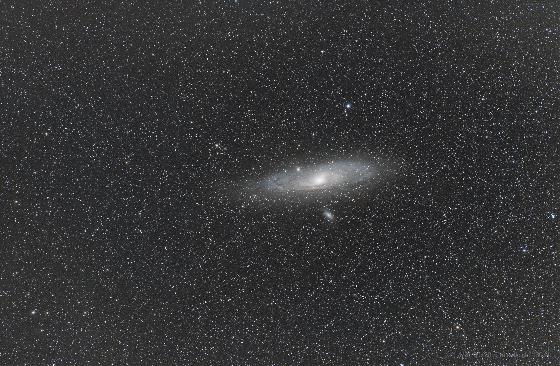 M31