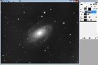 m81 apricot