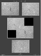 Observation du 2 Juin 2013