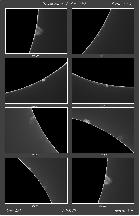 observation protus 02-06