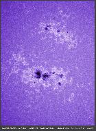 Calcium du 2 fevrier 2014