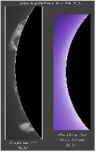 Mosas protus du 21 08